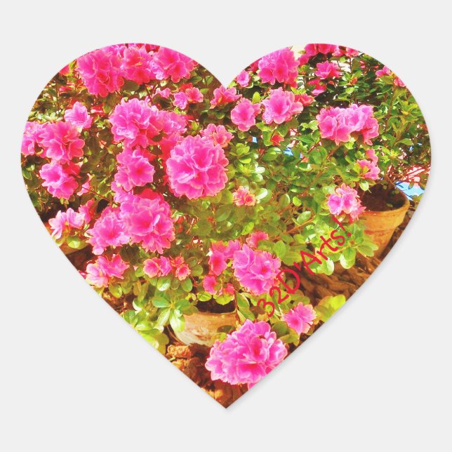 Extravaganza a rosa, adesivos cardíacos, brilhante (Frente)