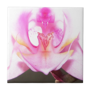 extrema proximidade do dentro de uma flor de orqu