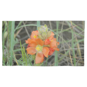 F40 Laranjas Malvas Escarlates Flores Silvestres