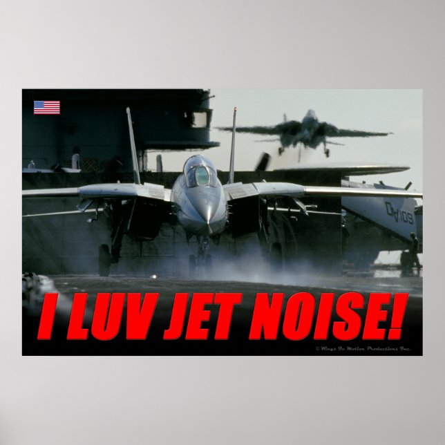 F-14 Jet Noise Poster (Frente)