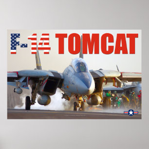 F-14 POSTER DE "LANÇAMENTO" TOMCAT