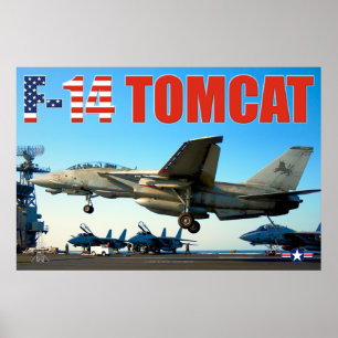 F-14 POSTER "HOOK DOWN" TOMCAT