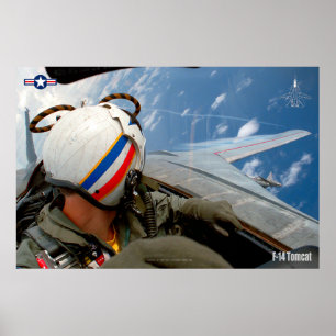 F-14 TOMCAT "CHECK SEX" POSTER