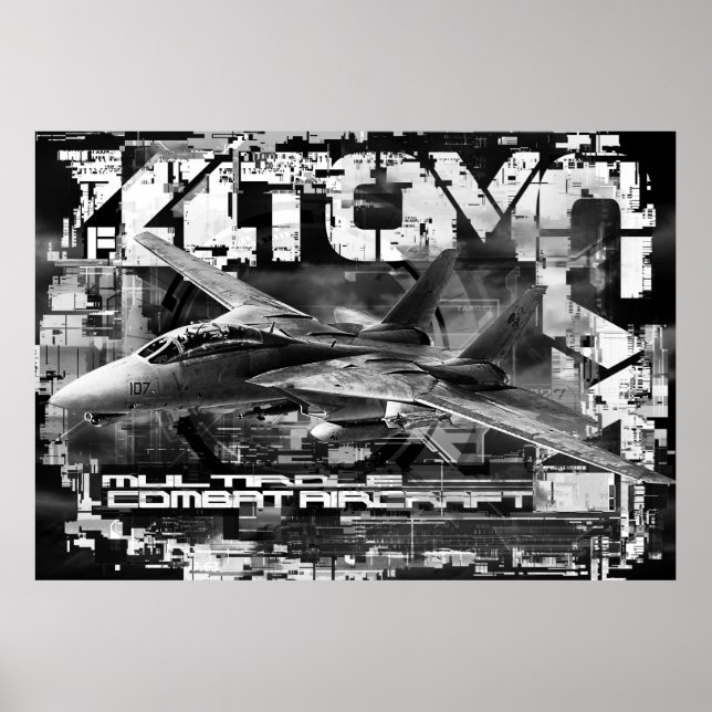 F-14 Tomcat Poster Paper (Matte) Poster (Frente)