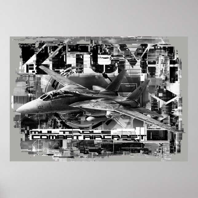 F-14 Tomcat Poster Paper (Matte) Poster (Frente)