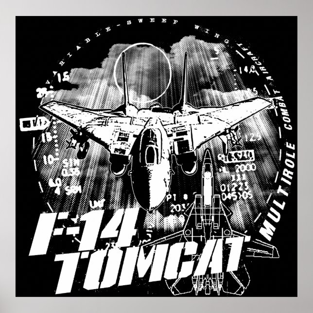F-14 Tomcat Poster Poster (Frente)