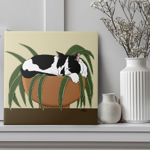 Fábrica Branca Negra de Gato Engraçado