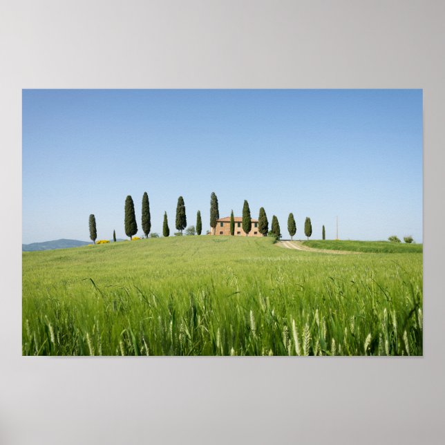 Fábrica na Toscana com poster de ciprestes (Frente)