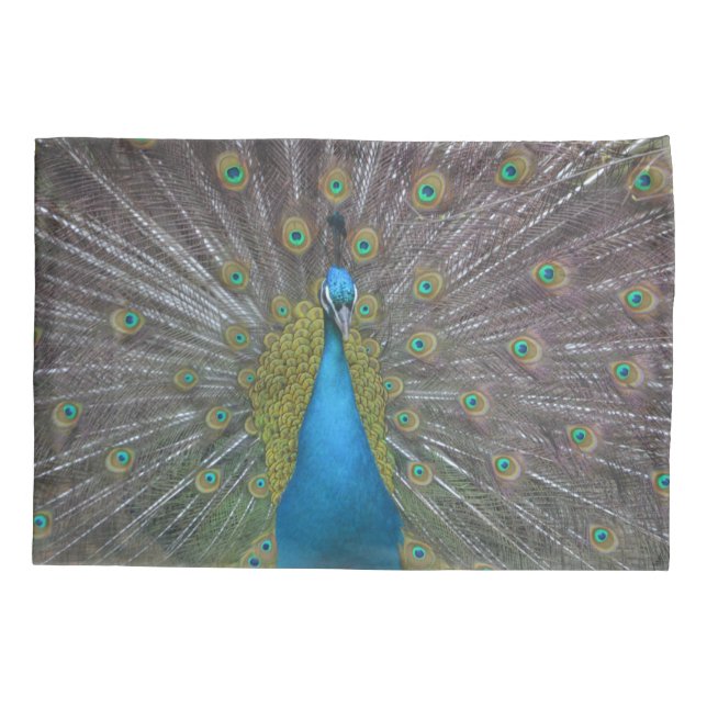 Fabuloso Pavão (Verso)