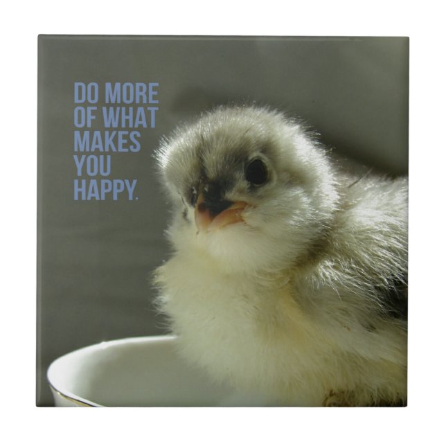 Faça mais o que lhe faz feliz Pintinho senta-se no (Frente)