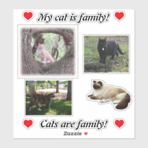 Faça o seu Modelo de adesivos para gatos