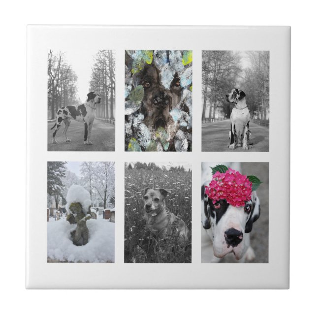 Faça-o você, Grande Dane (Frente)