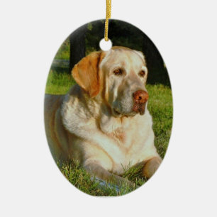 Faça seus próprios enfeites de natal do animal d