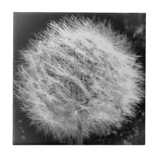 Faça um Azulejo de desejo