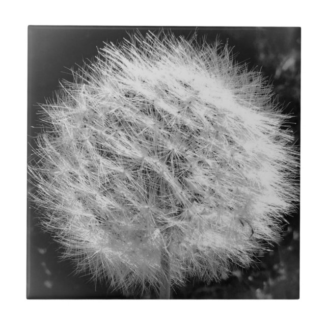 Faça um Azulejo de desejo (Frente)