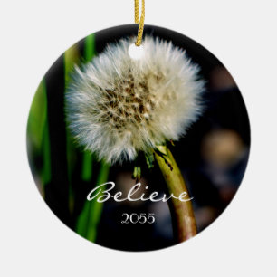 Faça um desejo, acredite-o, enfeites de natal do