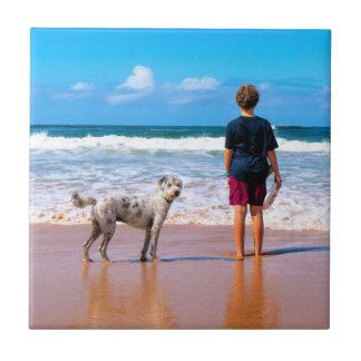 Faça Upload da Foto do Seu Animal de Estimação Pre