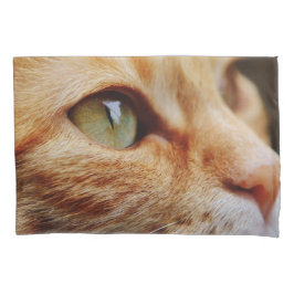 Face determinada de um gengibre