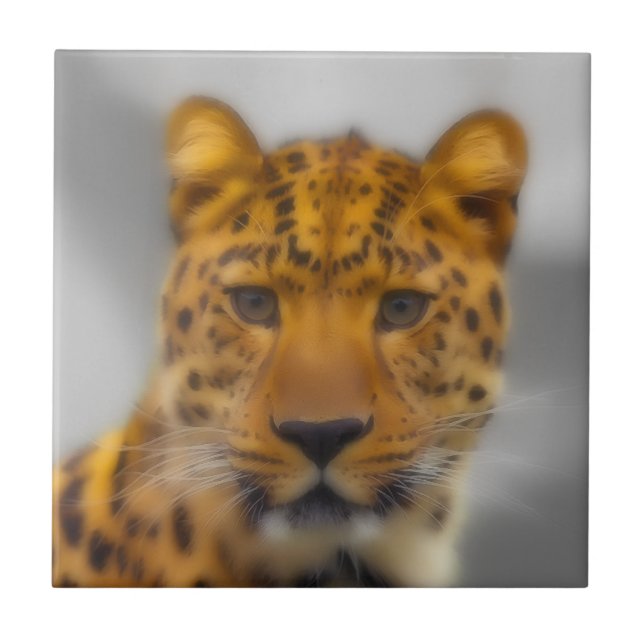 Face Leopardo (Frente)