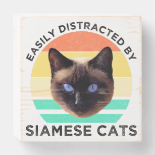Fácil Distração Por Gatos Siameses