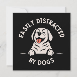 Facilmente distraído por cães