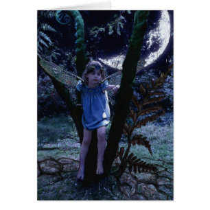 Fada da libélula em cartões do luar