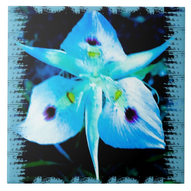 Fada de Flor Azul (Frente)