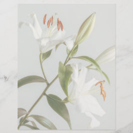 Faded white lily scrapbook paper