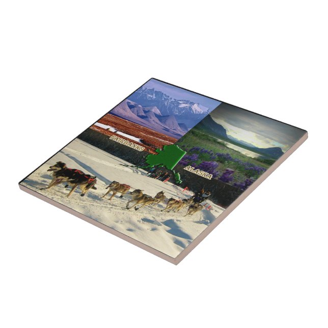 Fairbanks, Alaska Collage (Lateral)