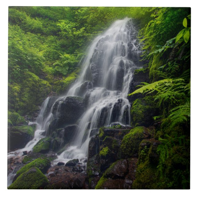 Fairy Falls | Desfiladeiro do Rio Colômbia Oregon. (Frente)