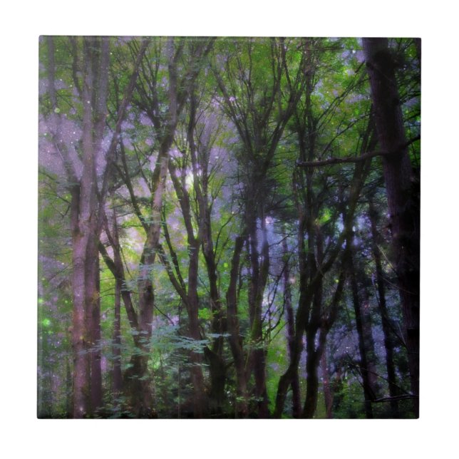 Fairy Lights Surreal Forest (Frente)