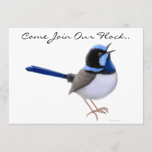 Fairy Wren Songbird Convite de festas