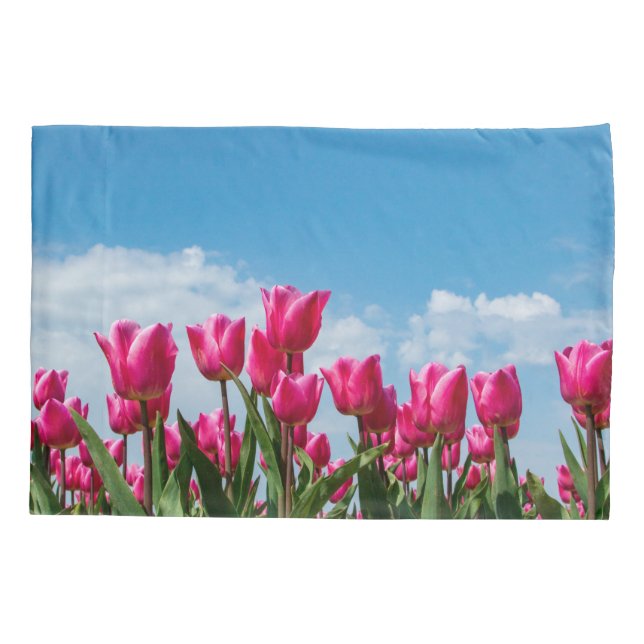Faixa de Nuvens do Jardim Tulips (Verso)