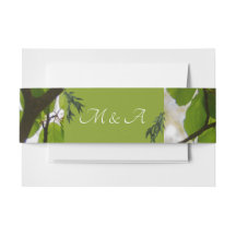 Banda de Belly de Casamento Verde