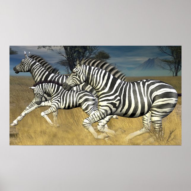 Faixas de Corrida - Herde de Zebra Poster (Frente)
