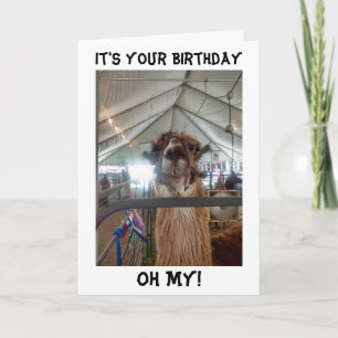 FALANDO NO CARTÃO DE ANIVERSÁRIO DO LLAMA, ME TIRE