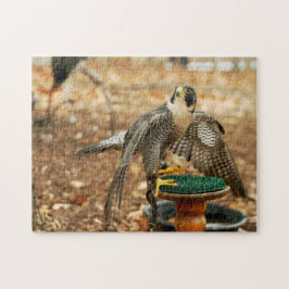 falcão de peregrino, pássaro do quebra-cabeça da