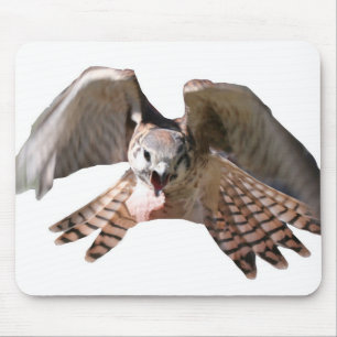 Falcão Mousepad