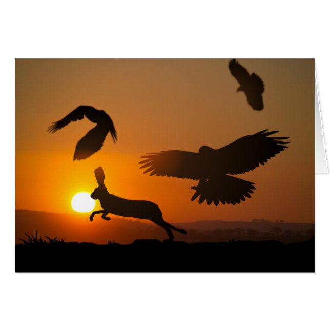 Falcões de Harris que caçam o cartão (Frente Horizontal)