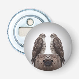 Falcões em um cargo