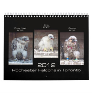 Falcons 2012 de Rochester no calendário de Toronto