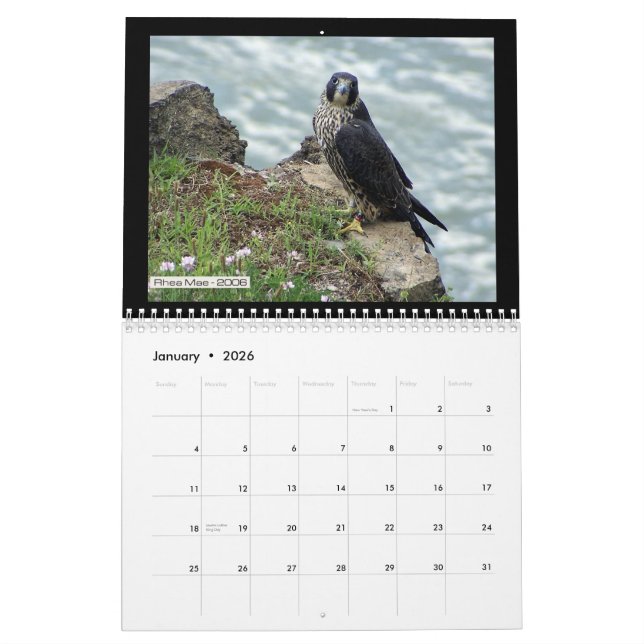 Falcons 2012 de Rochester no calendário de Toronto (Jan 2026)