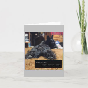 Fale com o Cartão de Cauda