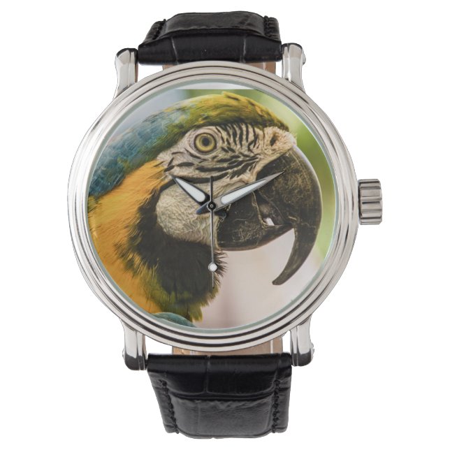 Fale como um relógio pirata (Frente)