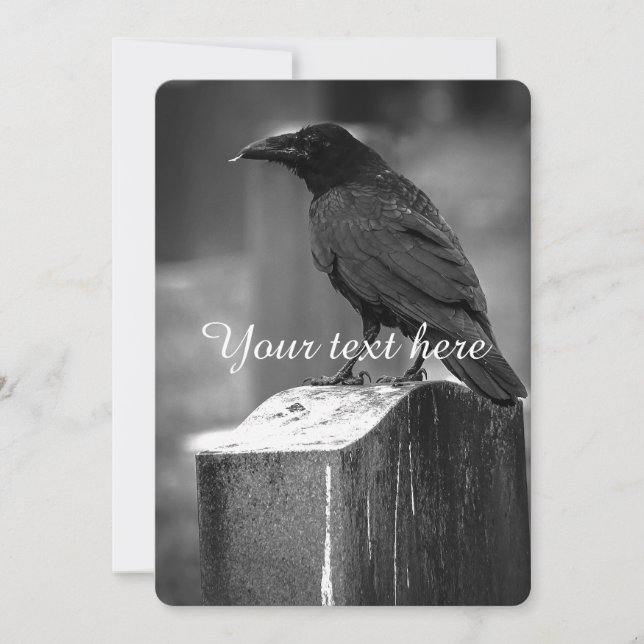 Falha Ao Encontrar Uma Pena (Frente)