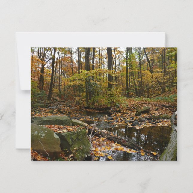 Fall Creek com Reflexo no Laurel Hill Park (Frente)