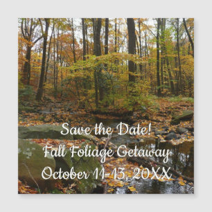 Fall Creek com Reflexo no Laurel Hill Park