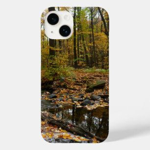 Fall Creek com Reflexo no Laurel Hill Park
