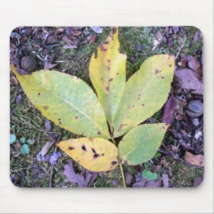Fall Deixa o Mousepad