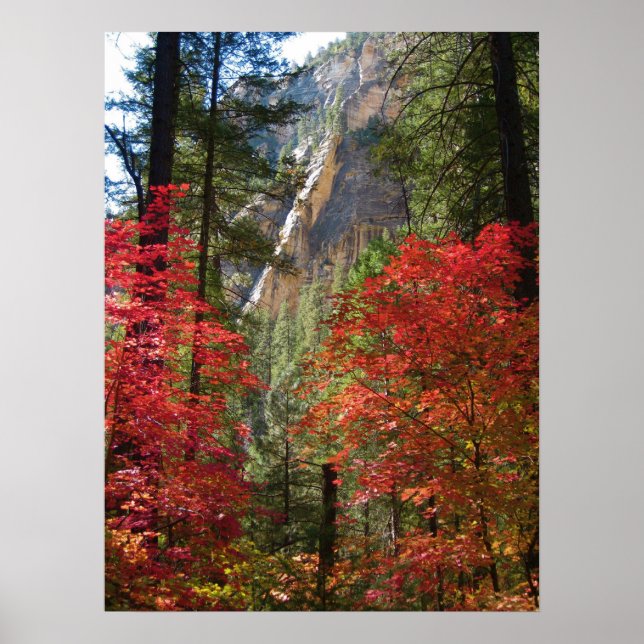 Fall Fantasy (15) Poster (Frente)